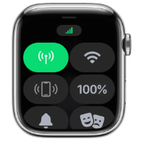 iwatch icon